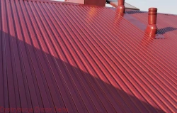 Pilot ACR RAL 3005 3jpg.jpg